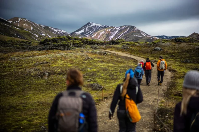 A moment from the Landmannalaugar highlands tour