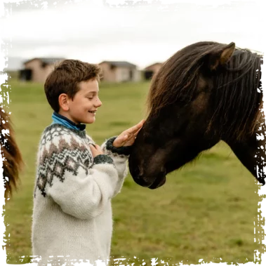 A moment from Morning With the Horses at Mr Iceland farm