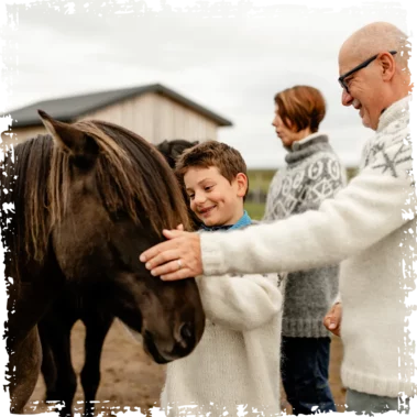 A moment from Morning With the Horses at Mr Iceland farm
