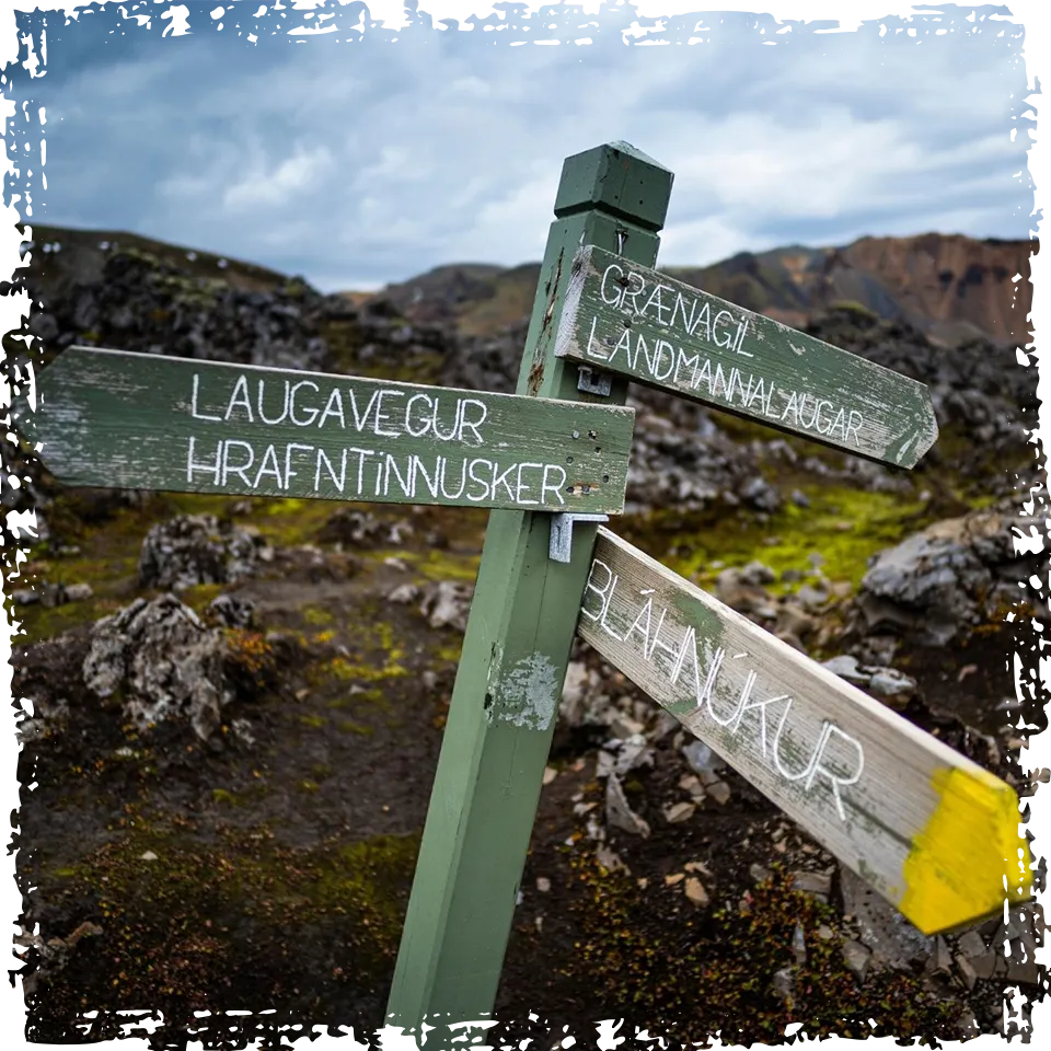 A moment from the Landmannalaugar highlands day tour