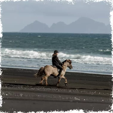 A moment of the horseback ride tour at the Black Beach