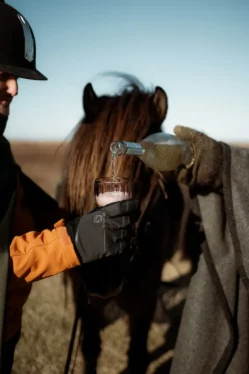 A pause during horseback private tour with Mr Iceland