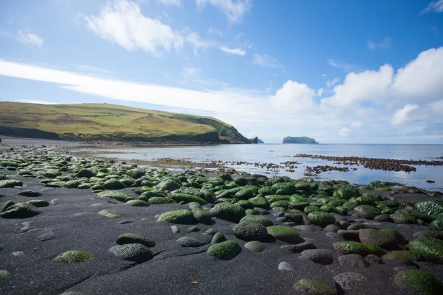 Alsey island beach day view at Vestmannaeyjar in Iceland