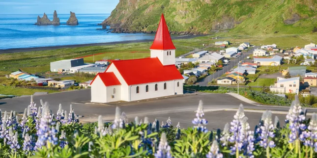 Breathtaking view of Vikurkirkja church in blooming lupine flowers