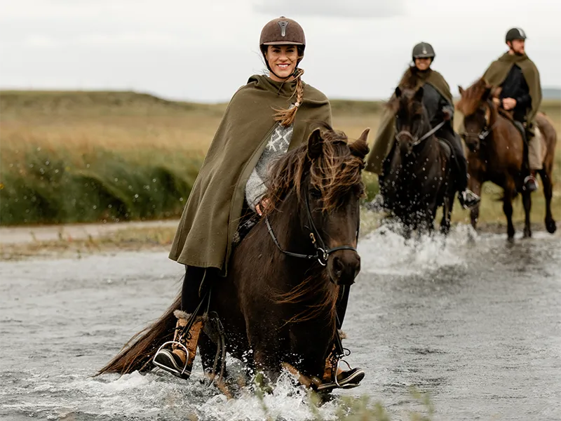 Challenge yourself on a horseback ride with Mr Iceland