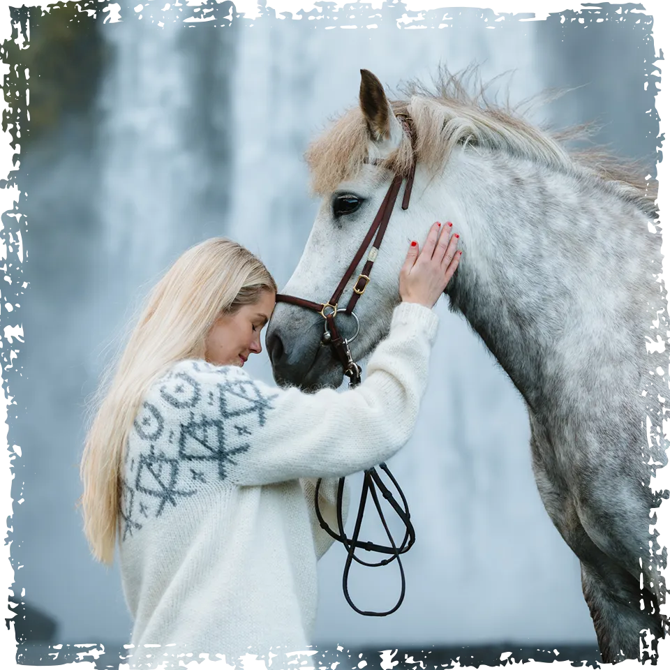 Connect with the horse