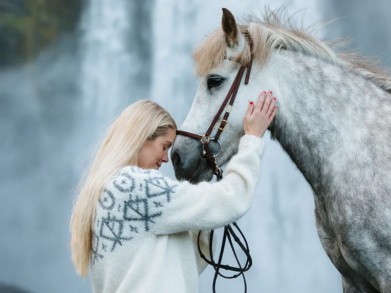 Connect with your icelandic horse