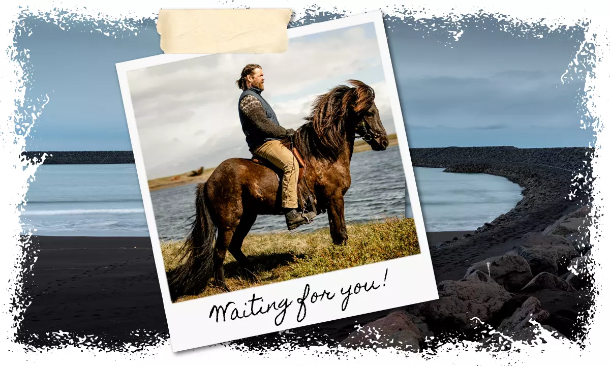 Contact Mr Iceland to book an horseback riding tour with a real viking