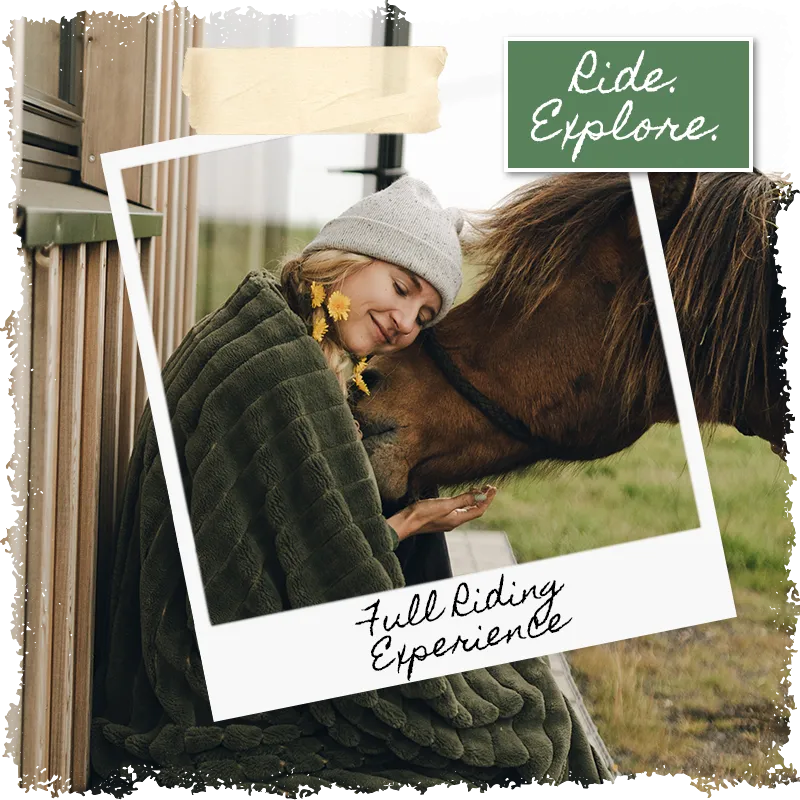 Full Riding Experience - a special package by Mr Iceland