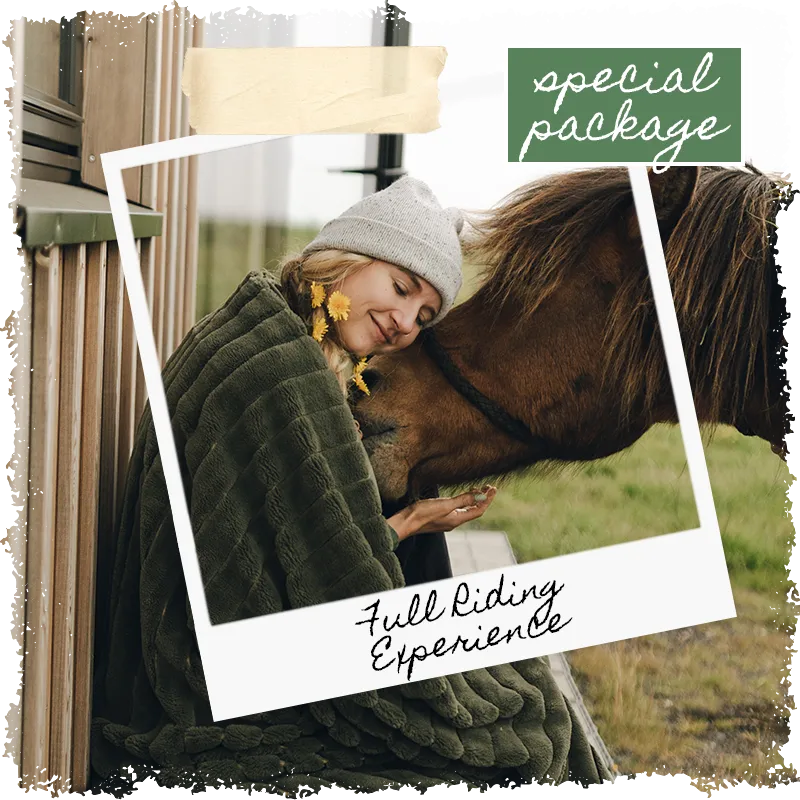 Full Riding Experience special package by Mr Iceland
