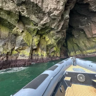 Guided boat tour around Vestmannaeyjar