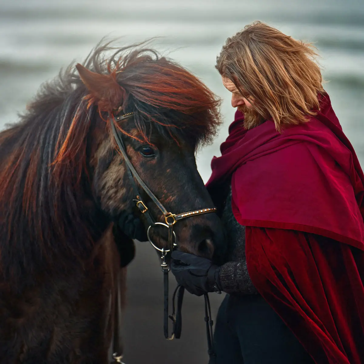 Hordur Bender is the Icelandic horse whisperer