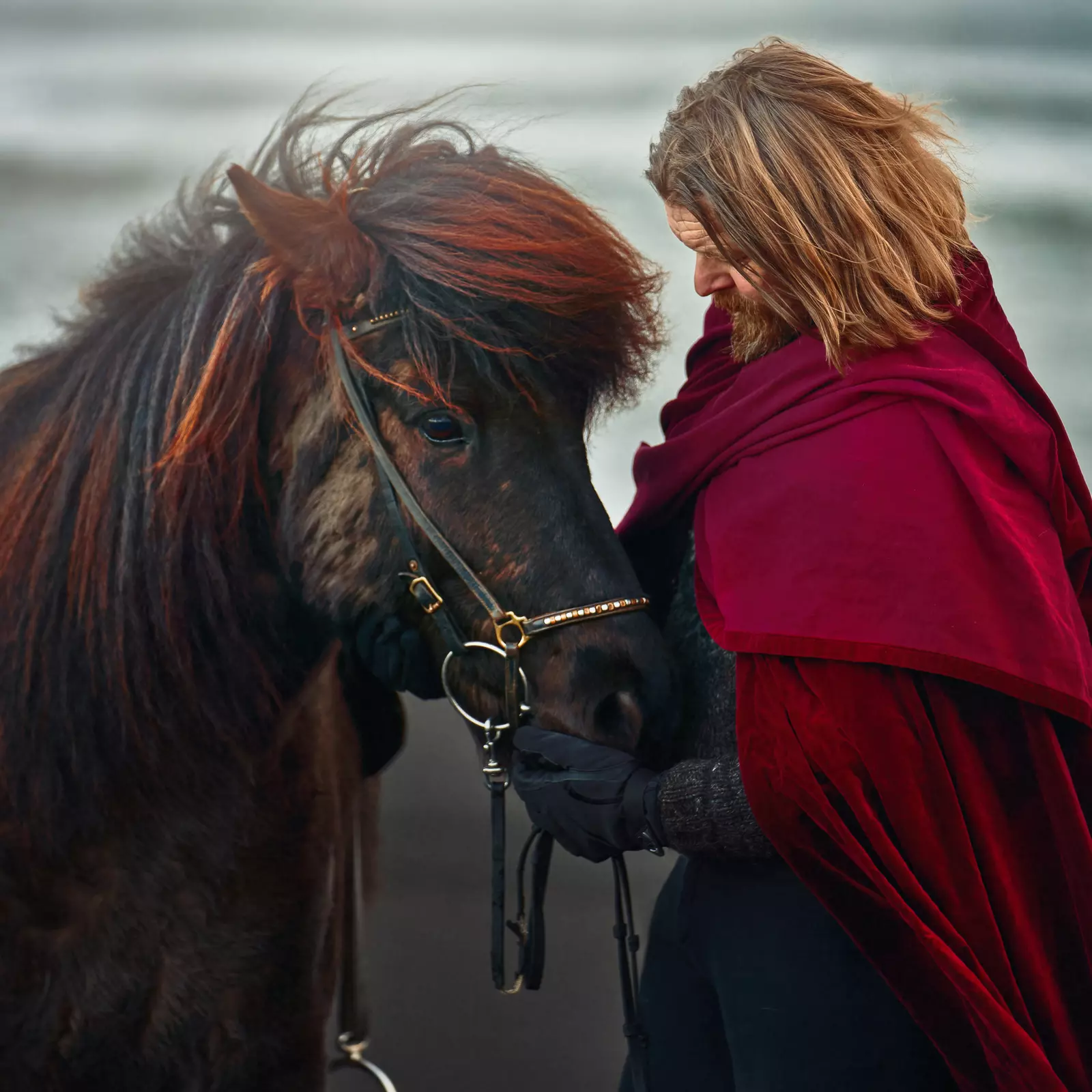 Hörður Bender - the Icelandic horse whisperer