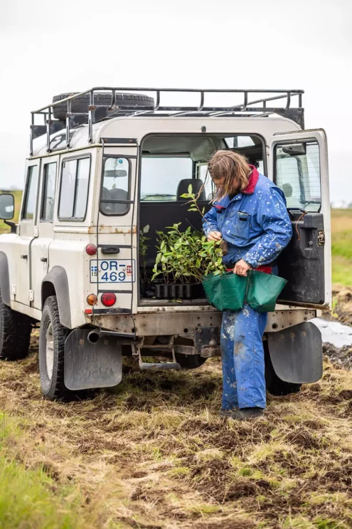 Hordur prepares the new seedlings