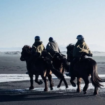 Horse ride to the Black Sand Beach in Iceland