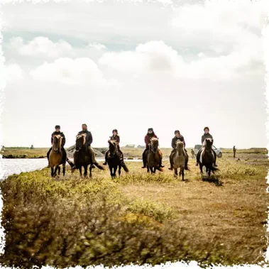 Horse riding tour with Mr Iceland