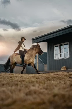 Horseback private tour and accomodation at Mr Iceland's farm