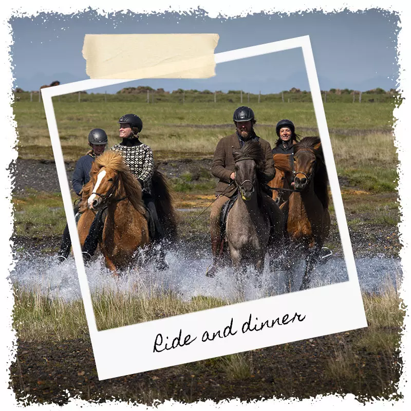 Horseback ride tour and dinner with Mr Iceland