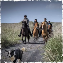 Horseback ride tour with Mr Iceland and his dog