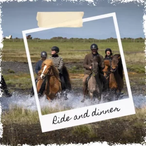 Horseback riding and dinner with a Viking on the historical Mr Iceland's farm