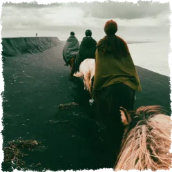 Horseback special tour to the Black Sand Beach