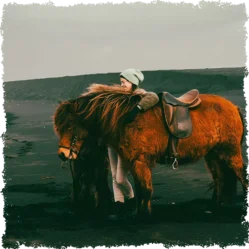 Horseback special tour to the Black Sand Beach