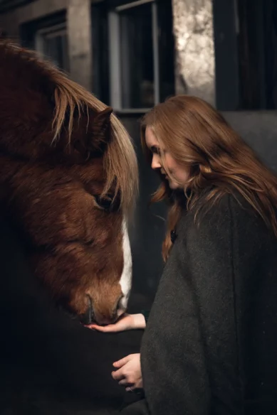 Make friends with the horses before Story Night at Mr Iceland farm