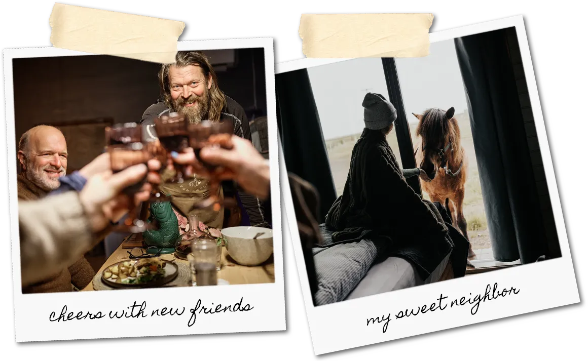 Memories from the stay at Mr Iceland horse farm