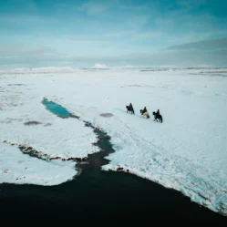 Mr Iceland Exclusive - horse riding private tours