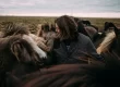 Mr Iceland - Hordur Bender with his horses