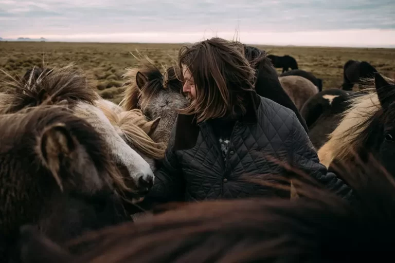 Mr Iceland - Hordur Bender with his horses