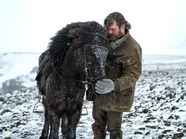Mr Iceland - Hordur Benerd loves his horses like a family