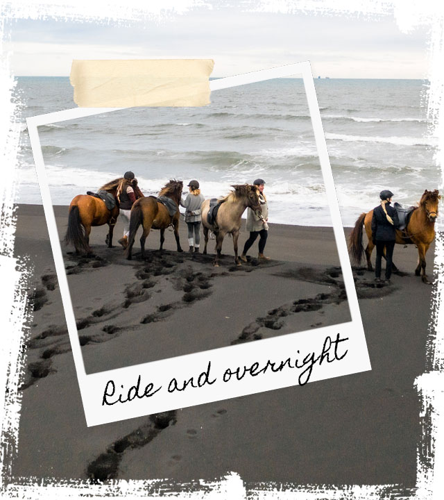 Mr Iceland - Overnight stay at the farm and black beach ride