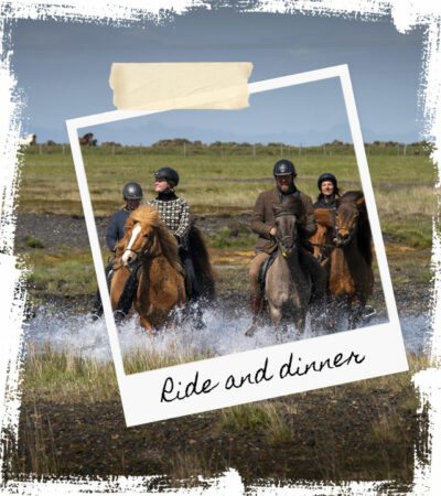 Mr Iceland - Ride with a Viking and have dinner at the historical farm