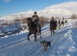 Mr Iceland - a horse tour in winter