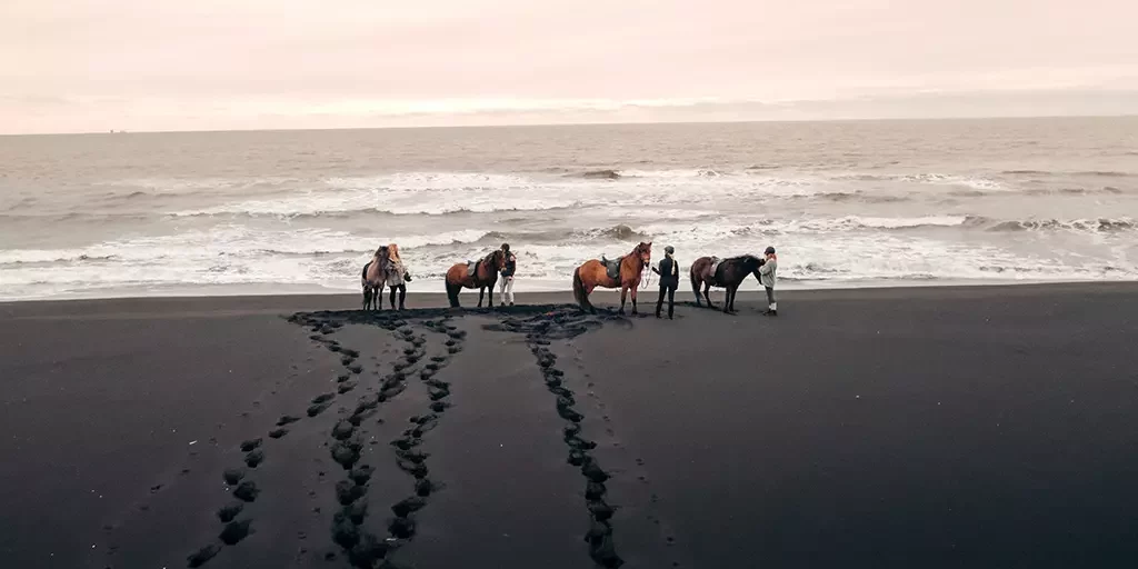 Mr Iceland - a horse tour to the Black Sand Beach