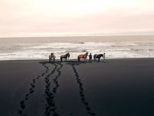 Mr Iceland - a horse tour to the Black Sand Beach