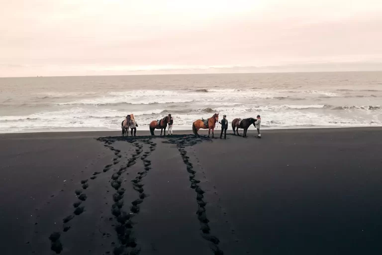 Mr Iceland - a horse tour to the Black Sand Beach