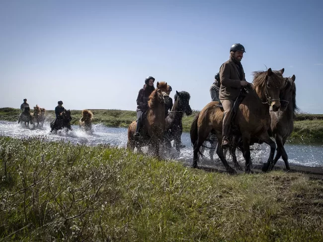 Mr Iceland - borseback ride tour