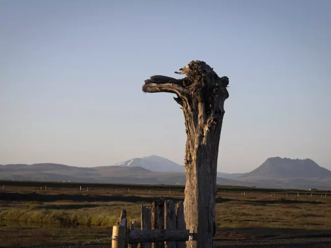 Mr Iceland - country decoration