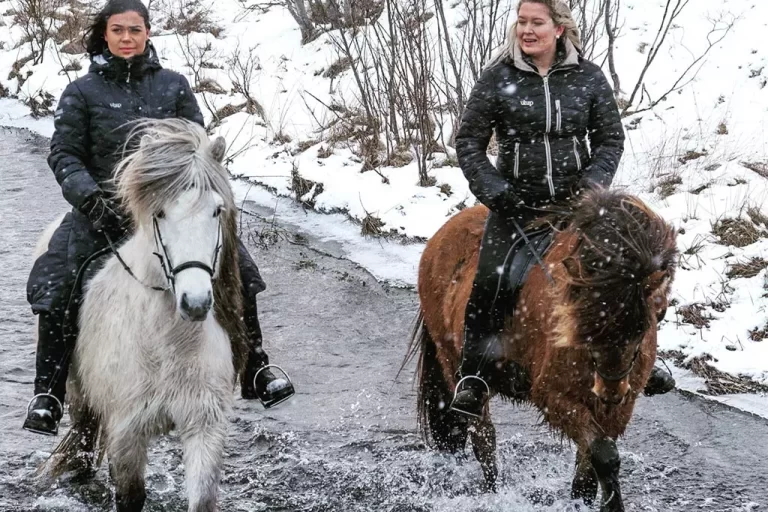 Mr Iceland - girls have a horse ride in winter