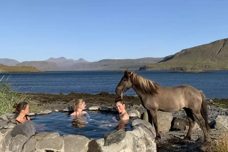 Mr Iceland - guests having a warm bath during a horseback ride in summer