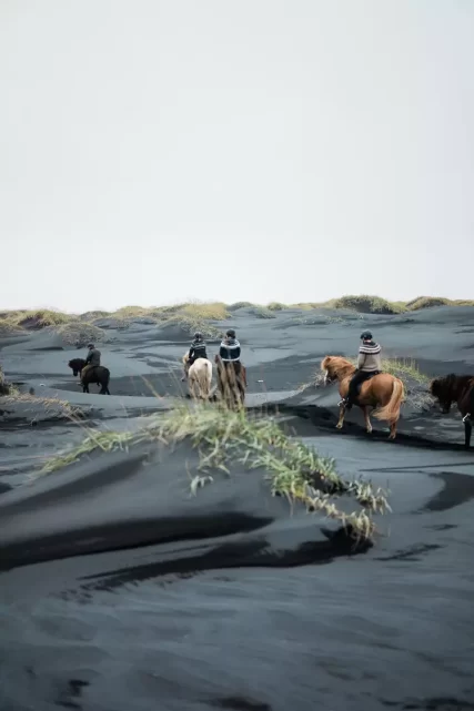 Mr Iceland - horseback ride on the Black Sand Beach