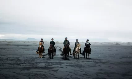 Mr Iceland - epic horse ride on the Black Sand Beach