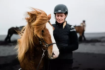 Mr Iceland - horses are our best friends