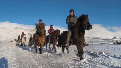 Mr Iceland - horseback ride in the snow