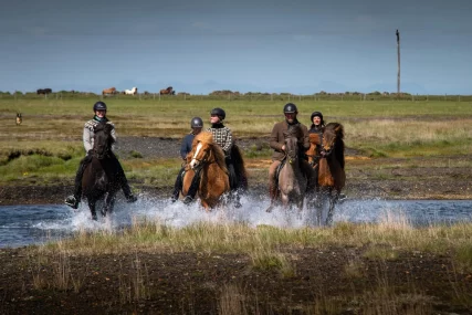 Mr Iceland - great horseback ride