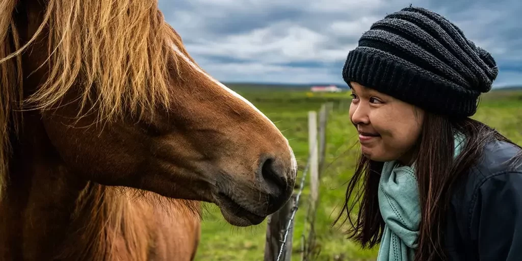 Mr Iceland - horse ride tour for children and kids