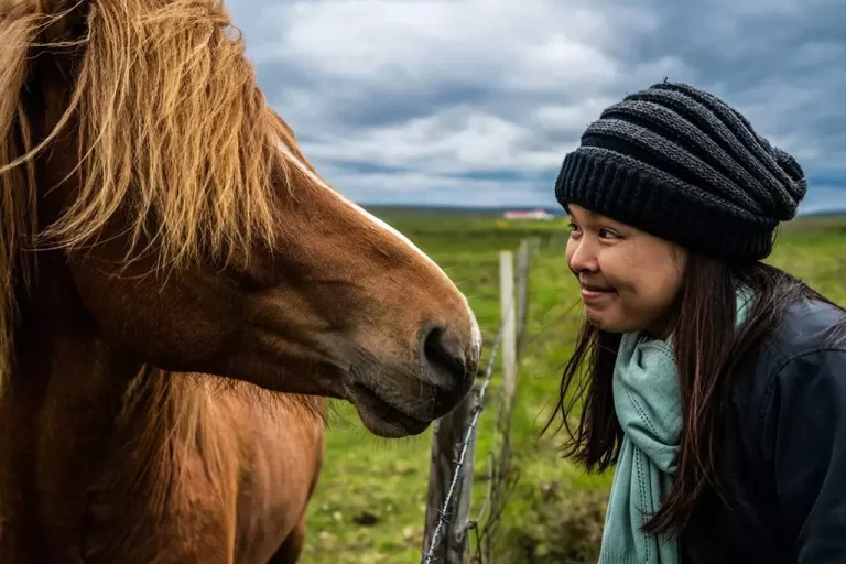 Mr Iceland - horse ride tour for children and kids