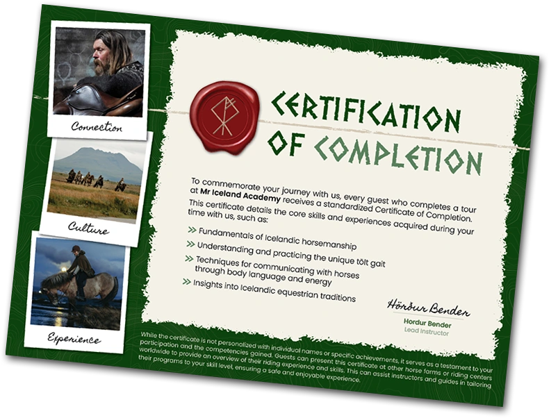 Mr Iceland horse riding Certification